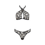 Ensemble Absolutely Wild