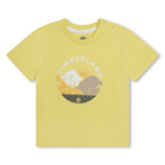 TEE-SHIRT MANCHES COURTES