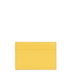 Porte cartes Paris PM