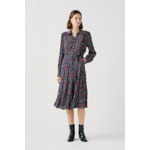 Robe rdanya