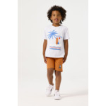 Boys T-shirt Blue