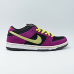 Nike Dunk SB Low Pro ACG Terra Red Plum