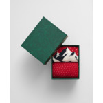 2-Pack Ski Artwork Socks Gift Box