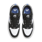 NIKE SB ALLEYOOP