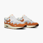 Nike Air Max 1 Patta Waves Monarch