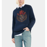 Pull À Capuche Bleu Marine Femme