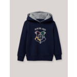 SWEAT CAPUCHE HP POUD