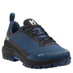 Chaussures WANAKA GTX M
