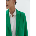 Veste volga