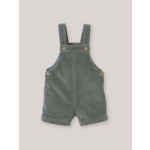 SALOPETTTE  VELOURS 8W