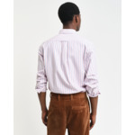 Regular Fit Striped Archive Oxford