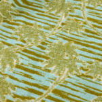 Yves Delorme - Serviette de bain en coton 550 g/m², Tropical