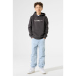 Boys Sweater Grey