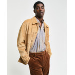 Regular Fit Striped Archive Poplin