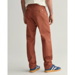Regular Fit Twill Chinos