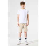 Boys Shorts Brown