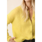 Gilet BEA