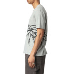 TOMMY CL BIG PALM TREE