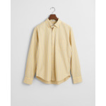 Regular Fit Striped Archive Oxford