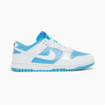 Nike Dunk Low Reverse UNC