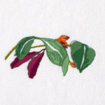 Yves Delorme - Serviette de bain en coton 450 g/m², Parfum