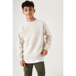 Boys Sweater Brown