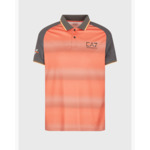 Polo - route des épices