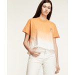 T-Shirt Avec Degrade Et Broderie Poitrine Et Print Dos Femme