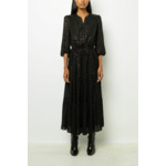 Robe Stephy