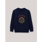 PULL COL ROND HP LION