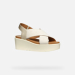 D XAND 2.2S