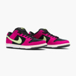 Nike Dunk SB Low Pro ACG Terra Red Plum