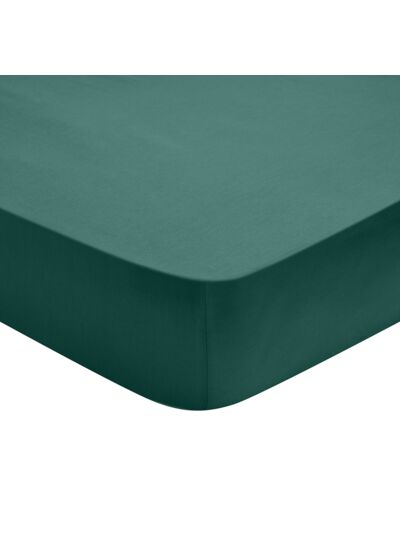 Drap Housse Influence Percale Forêt