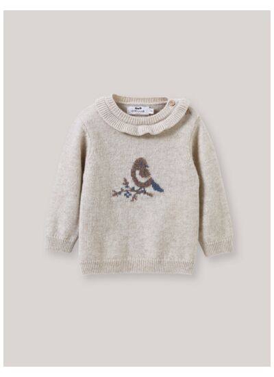 PULL OISEAU