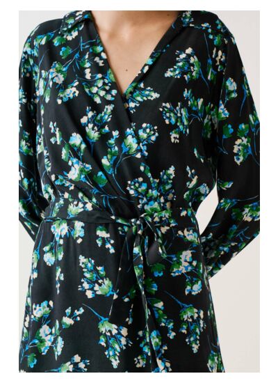 Robe rdestiny
