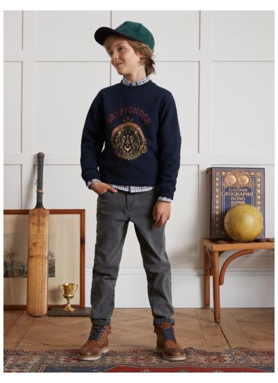 PULL COL ROND HP LION