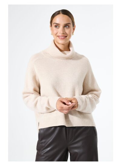 Women Sweater Brown
