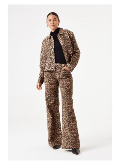 Women Pants Brown