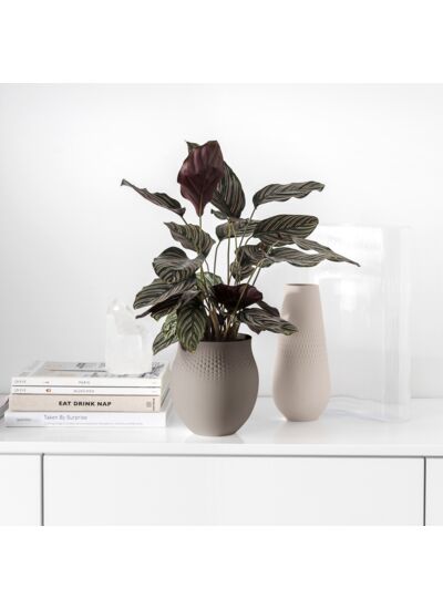 Manufacture Collier vase, 16,5 x 18 cm, Perle, taupe