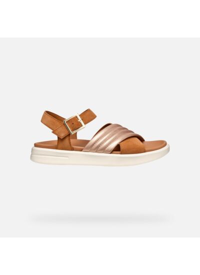 D XAND 2S