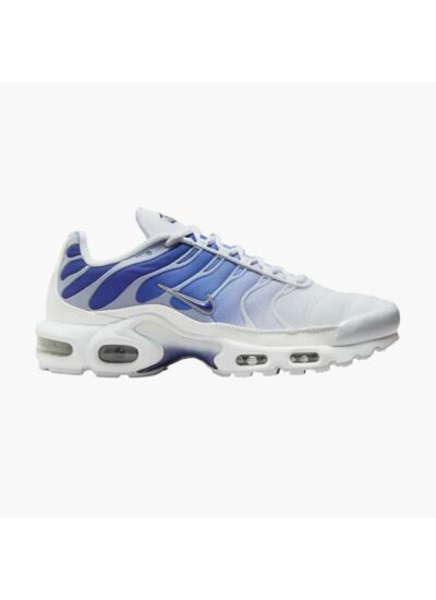 Nike Air Max Plus Blue Fade