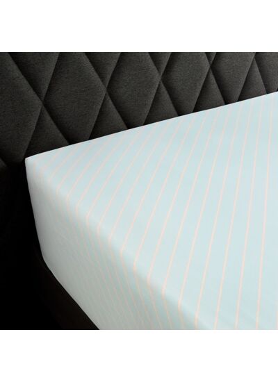 DRAP HOUSSE | Post Card