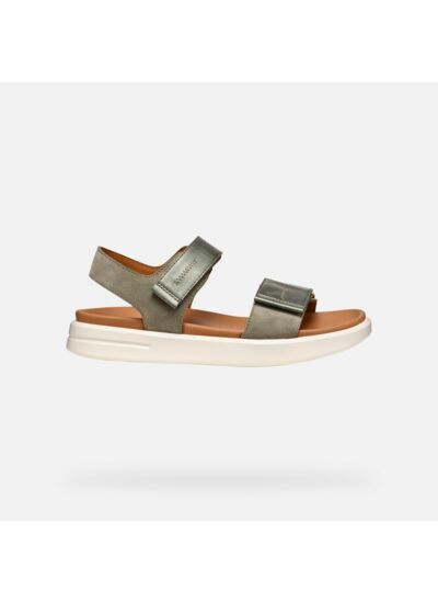 D XAND 2S