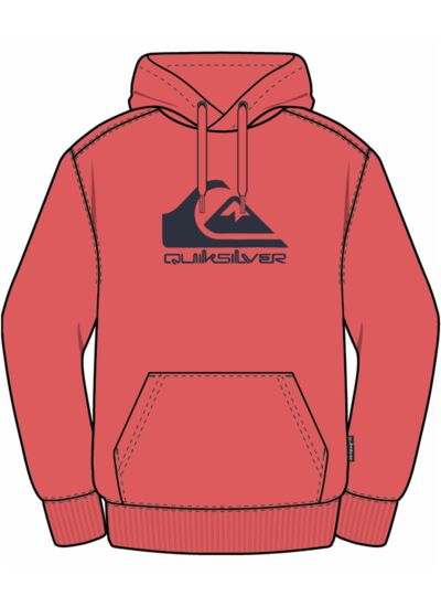 BIG LOGO HOODIE