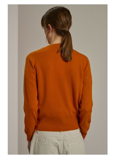 Cardigan - Winner