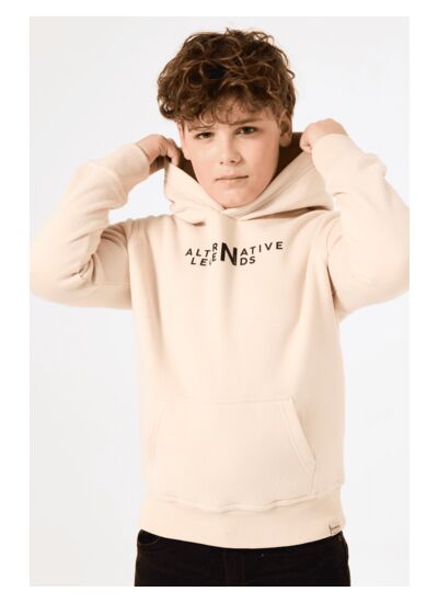 Boys Sweater Brown
