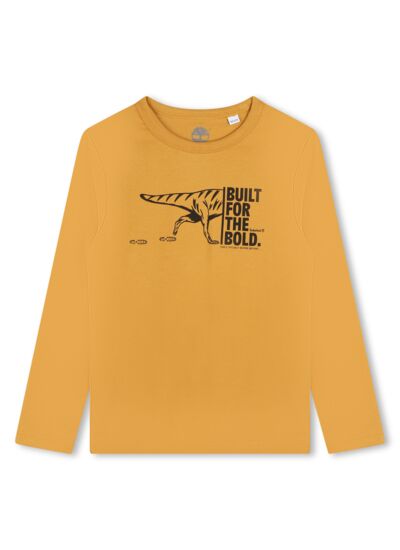 TEE-SHIRT MANCHES LONGUES