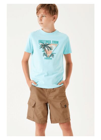 Boys Shorts Brown