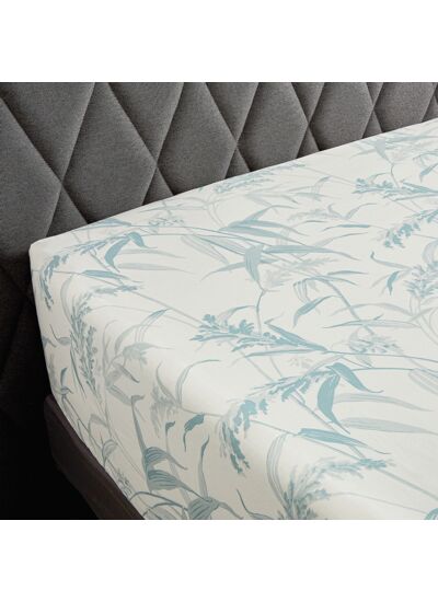 DRAP HOUSSE | Estampe