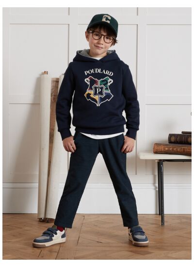 SWEAT CAPUCHE HP POUD